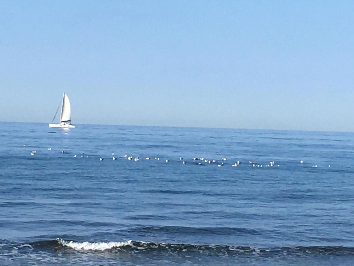 La Mouette Bleue Maison De Ville Individuelle Et Climatisee Martigues Εξωτερικό φωτογραφία